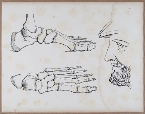 E790 - Progressive Drawing - i12375