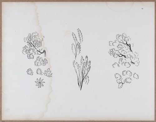 E790 - Progressive Drawing - i12394
