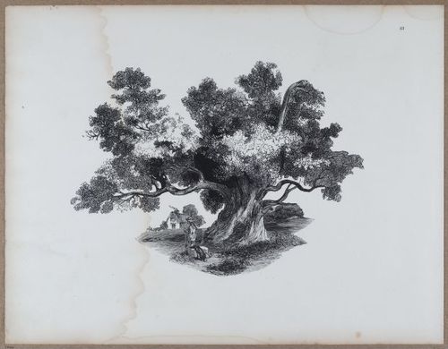 E790 - Progressive Drawing - i12396