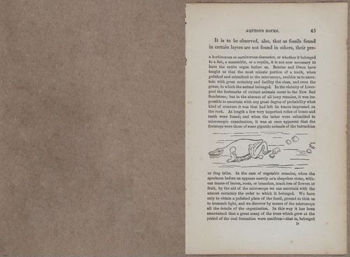 E800 - Principles Geology - i13358