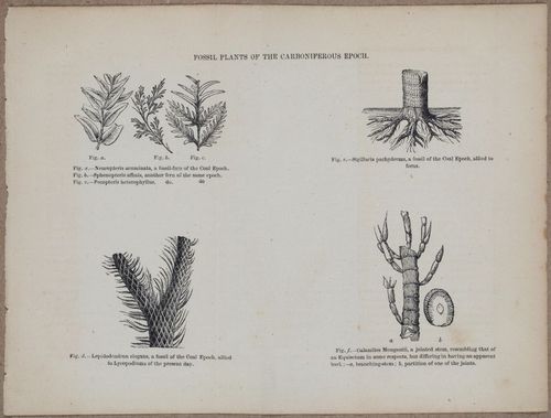 E800 - Principles Geology - i13360-13361