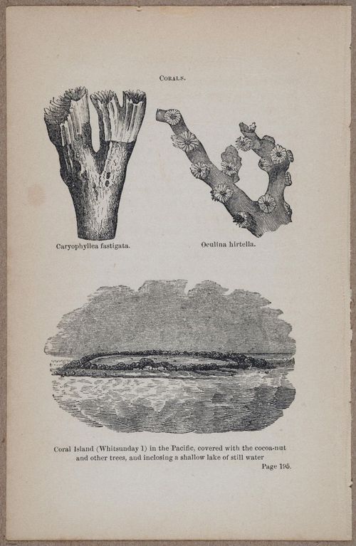 E800 - Principles Geology - i13368