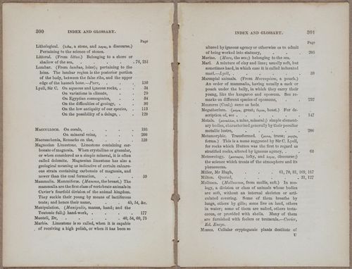 E800 - Principles Geology - i13381-13382