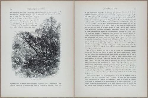 E798 - Picturesque Europe - Vol II - 14225-14226