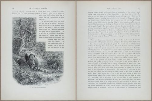 E798 - Picturesque Europe - Vol II - 14229-14230