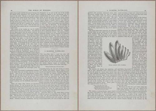 E804 - Wonders of the Universe - 1885 - 13622-13623