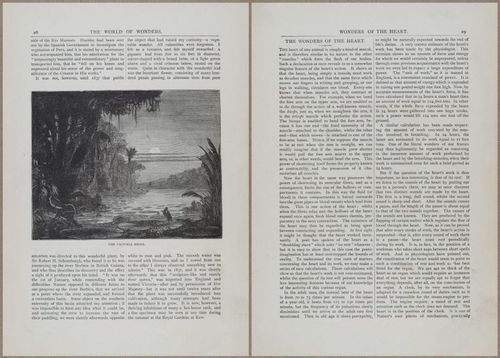 E804 - Wonders of the Universe - 1885 - 13624-13625