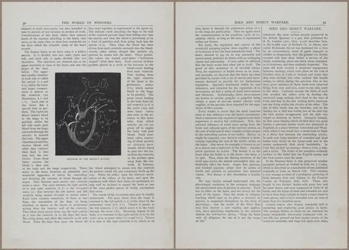 E804 - Wonders of the Universe - 1885 - 13626-13627