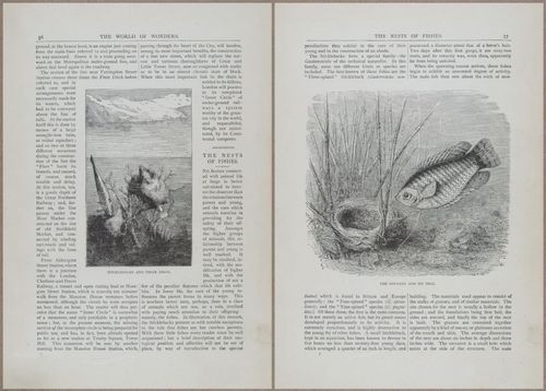 E804 - Wonders of the Universe - 1885 - 13653-13654