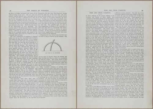E804 - Wonders of the Universe - 1885 - 13675-13676