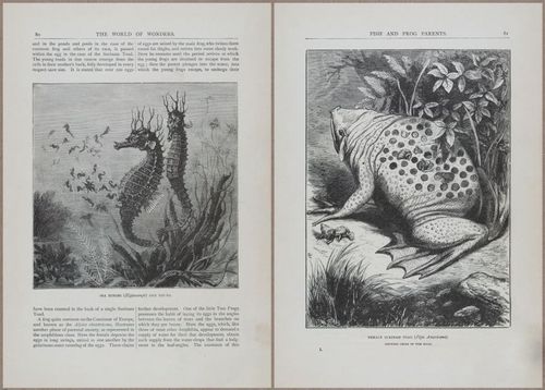 E804 - Wonders of the Universe - 1885 - 13677-13678