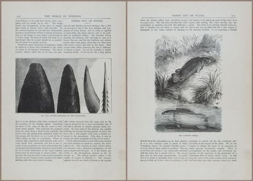 E804 - Wonders of the Universe - 1885 - 13714-13715
