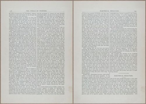 E804 - Wonders of the Universe - 1885 - 13716-13717