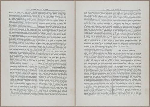 E804 - Wonders of the Universe - 1885 - 13724-13725