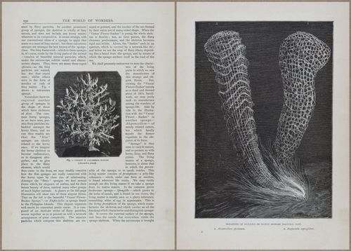 E804 - Wonders of the Universe - 1885 - 13730-13731