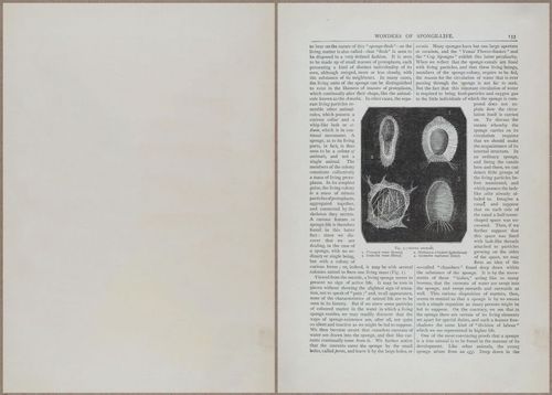 E804 - Wonders of the Universe - 1885 - 13732-13733