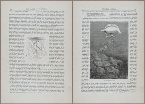 E804 - Wonders of the Universe - 1885 - 13759-13760