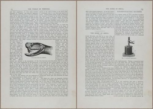 E804 - Wonders of the Universe - 1885 - 13761-13762