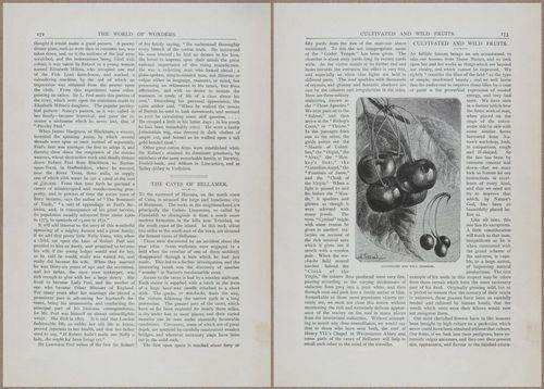 E804 - Wonders of the Universe - 1885 - 13771-13772