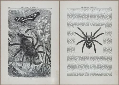 E804 - Wonders of the Universe - 1885 - 13821-13822