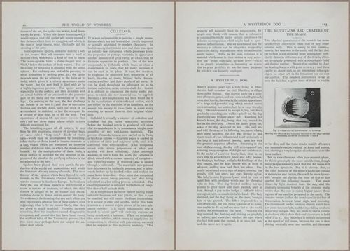 E804 - Wonders of the Universe - 1885 - 13823-13824