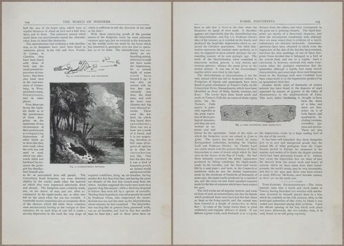 E804 - Wonders of the Universe - 1885 - 13862-13863