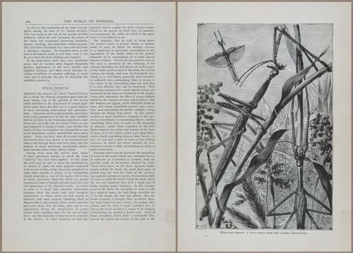 E804 - Wonders of the Universe - 1885 - 13882-13883