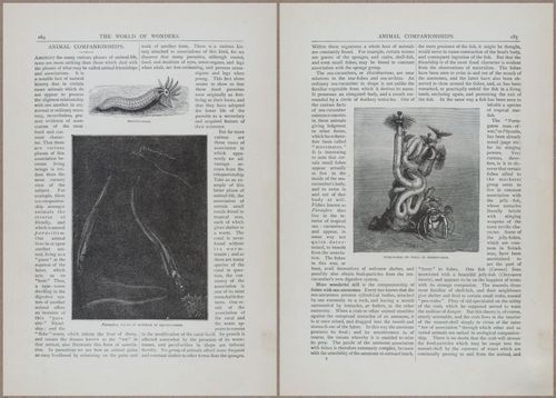 E804 - Wonders of the Universe - 1885 - 13785-13786