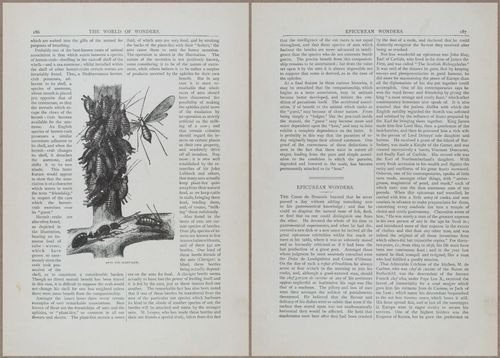 E804 - Wonders of the Universe - 1885 - 13787-13788