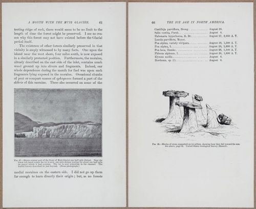 E801 - Ice Age - i13444-13445