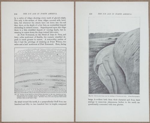 E801 - Ice Age - i13466-13467