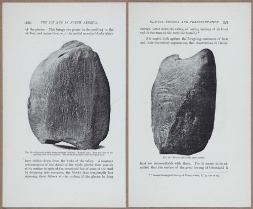 E801 - Ice Age - i13480-13481