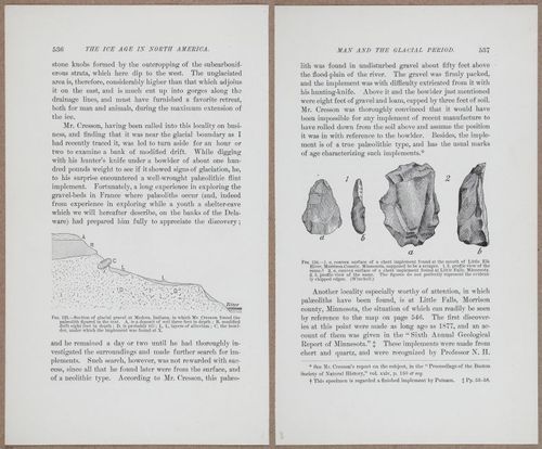 E801 - Ice Age - i13555-13556