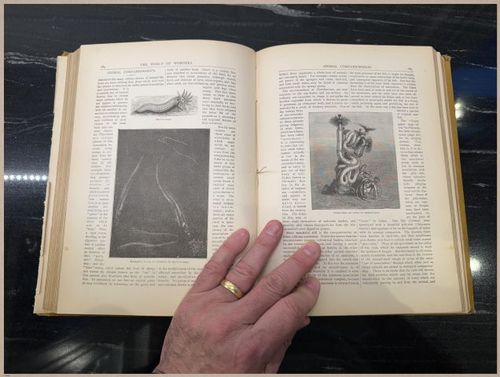 E804 - Wonders of the Universe - 1885 - 2507