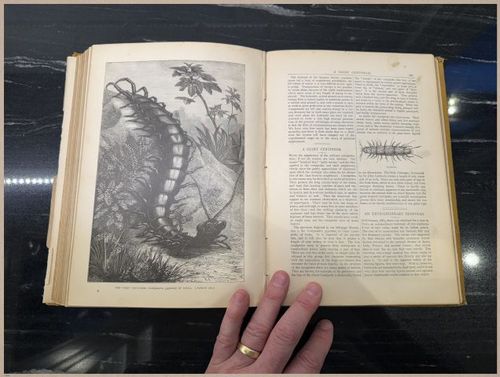 E804 - Wonders of the Universe - 1885 - 2514