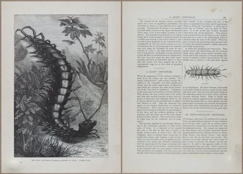 E804 - Wonders of the Universe - 1885 - 13909-13910