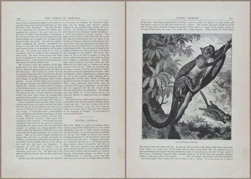 E804 - Wonders of the Universe - 1885 - 13923-13924