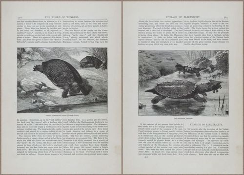 E804 - Wonders of the Universe - 1885 - 13935-13936