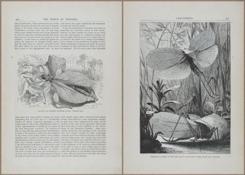 E804 - Wonders of the Universe - 1885 - 13947-13948