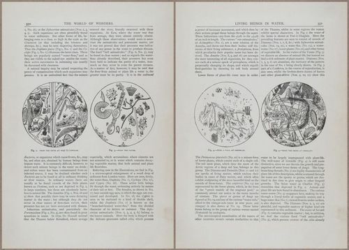 E804 - Wonders of the Universe - 1885 - 13973-13974