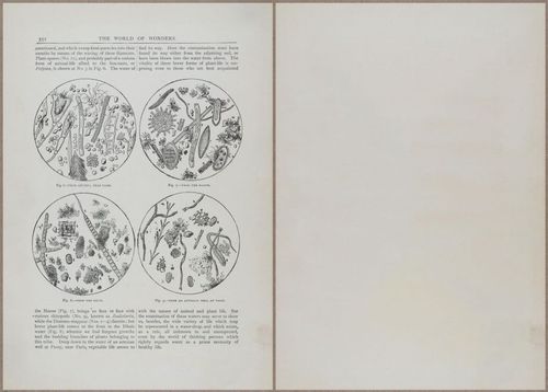 E804 - Wonders of the Universe - 1885 - 13975-13976