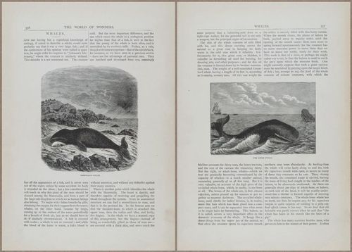 E804 - Wonders of the Universe - 1885 - 13981-13982