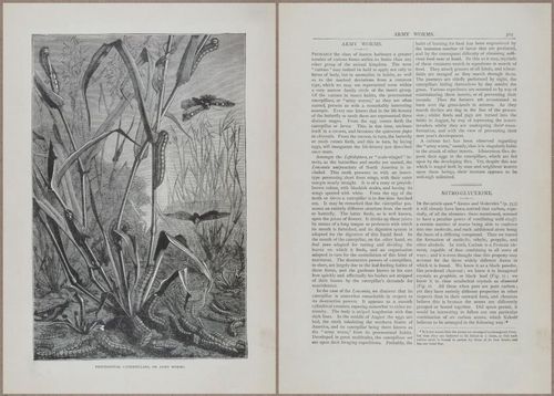 E804 - Wonders of the Universe - 1885 - 13989-13990