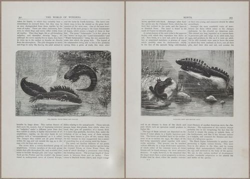E804 - Wonders of the Universe - 1885 - 14016-14017