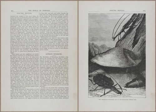 E804 - Wonders of the Universe - 1885 - 14028-14029