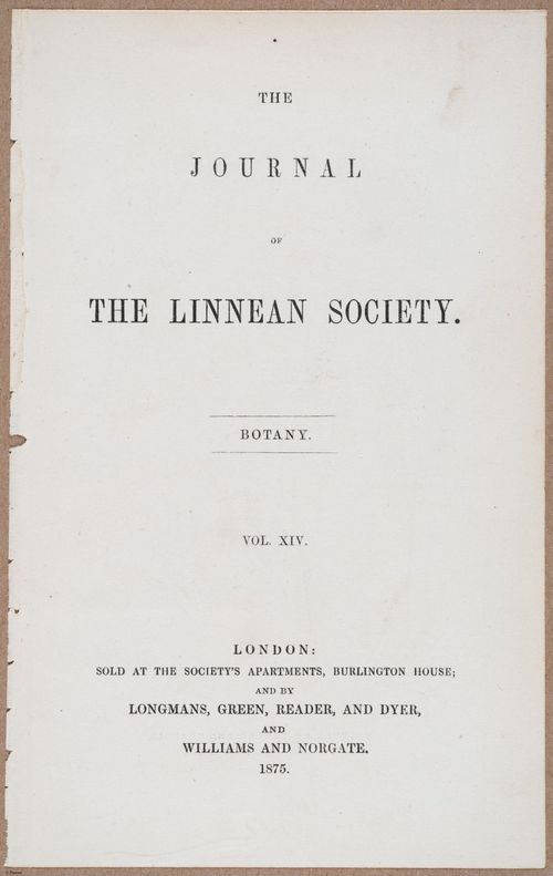 E805 - Linnean - i14045