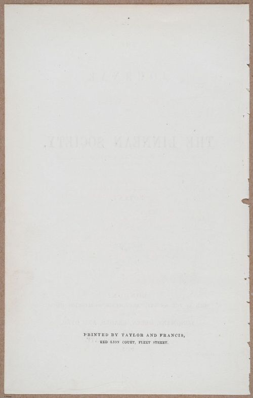 E805 - Linnean - i14048