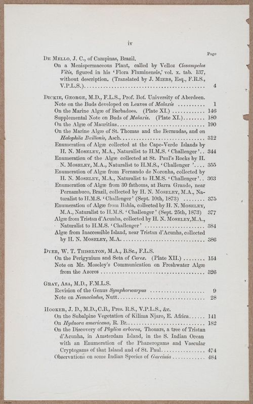 E805 - Linnean - i14050