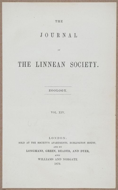 E805 - Linnean - i14073