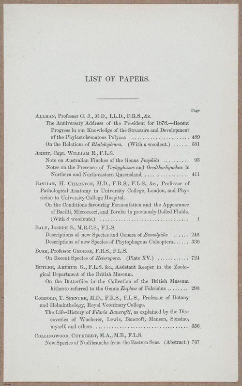 E805 - Linnean - i14075